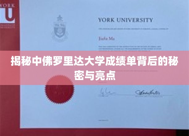 探寻中佛罗里达大学成绩单的独到魅力与隐藏价值